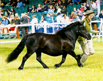 Renee runs Velveteen at RHAS 2009