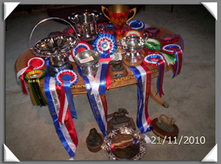 Achievements