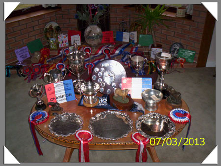 Achievements