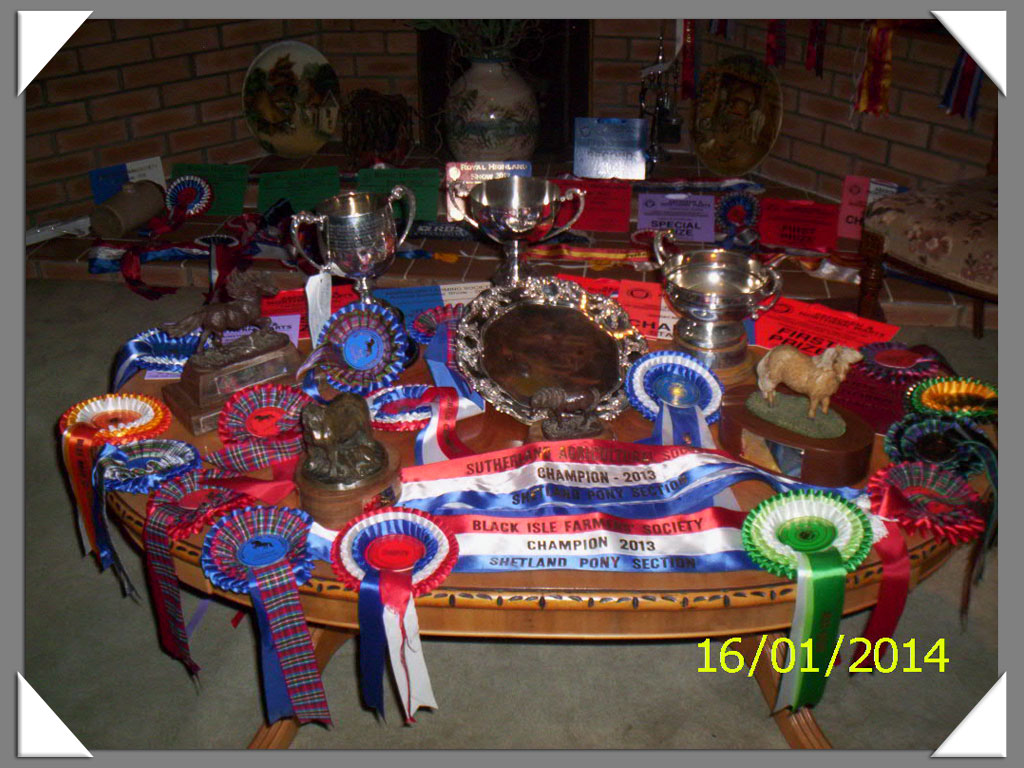 Achievements