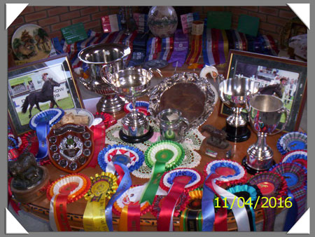 Achievements