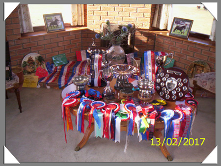 Achievements