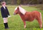 Erray Cowslip