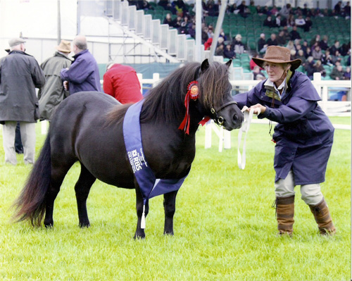 Renee runs Velveteen at RHAS 2009