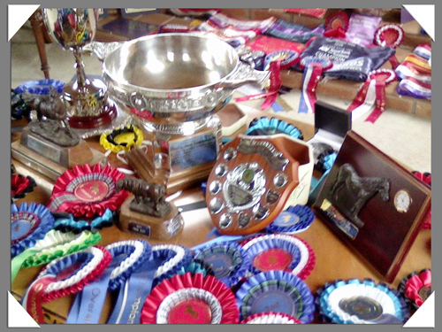 Achievements