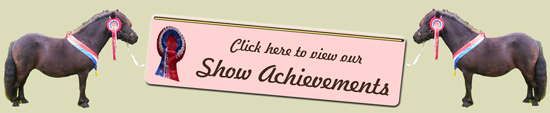 2012 Banner